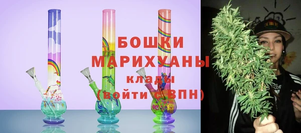 PSILOCYBIN Бронницы