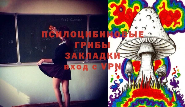 PSILOCYBIN Бронницы