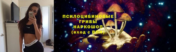 PSILOCYBIN Бронницы