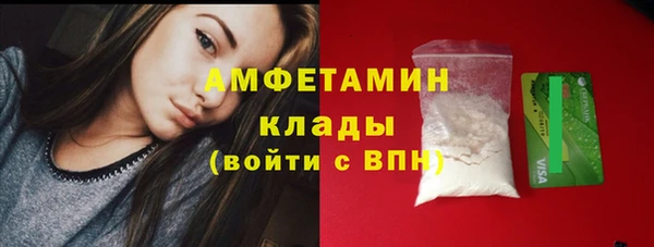 гидра Верхний Тагил